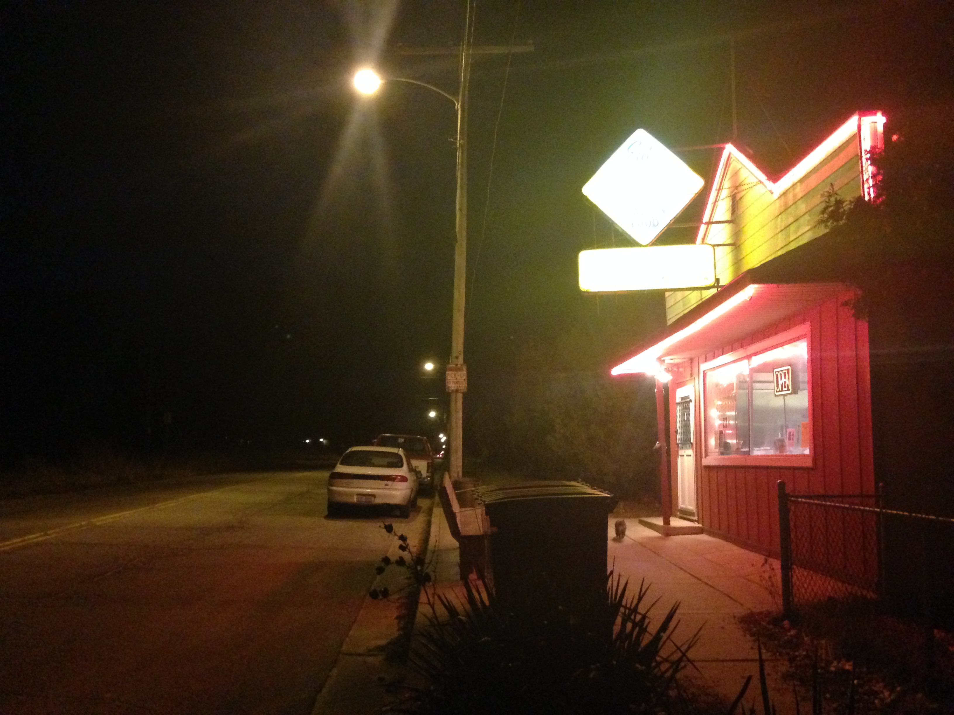Lake Street, Looking South, Next to Ono's Pizza - 720 N. Lake St., Gary, Indiana