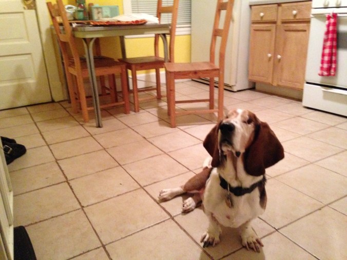 Ernie Posing in Front of a Palermo's Pizza in Logan Square, Chicago - December 19, 2014
