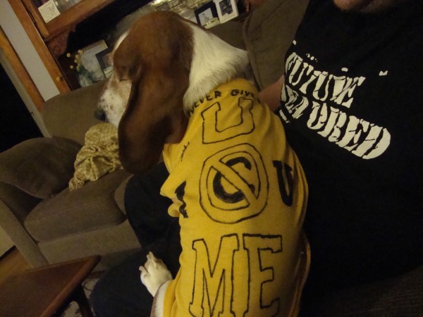 Ernie in his John Cena t-shirt.