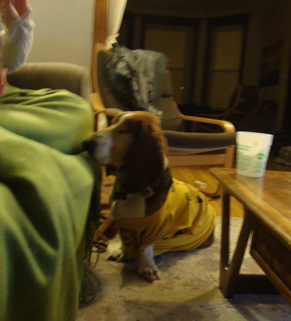 Note the classic Shakespeare's Pizza cup!