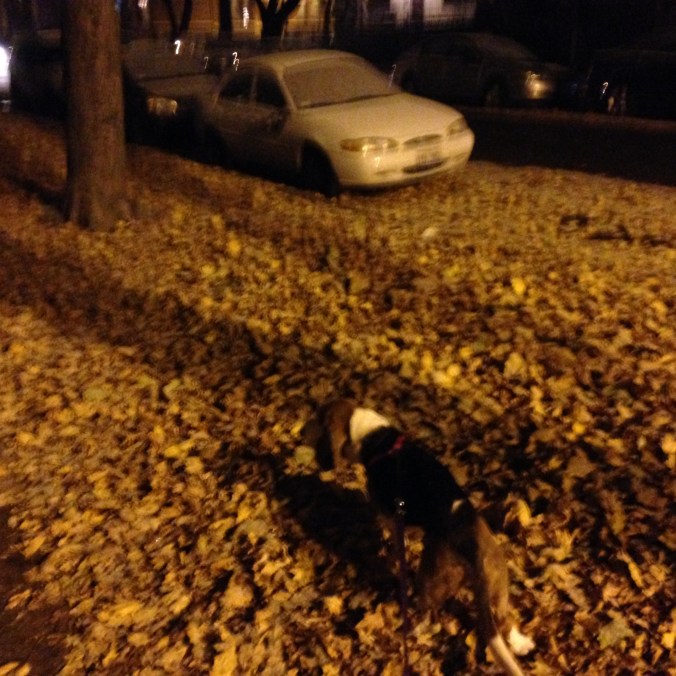 Ernie Gets Ready to Go to Perry's Pizza Joynt