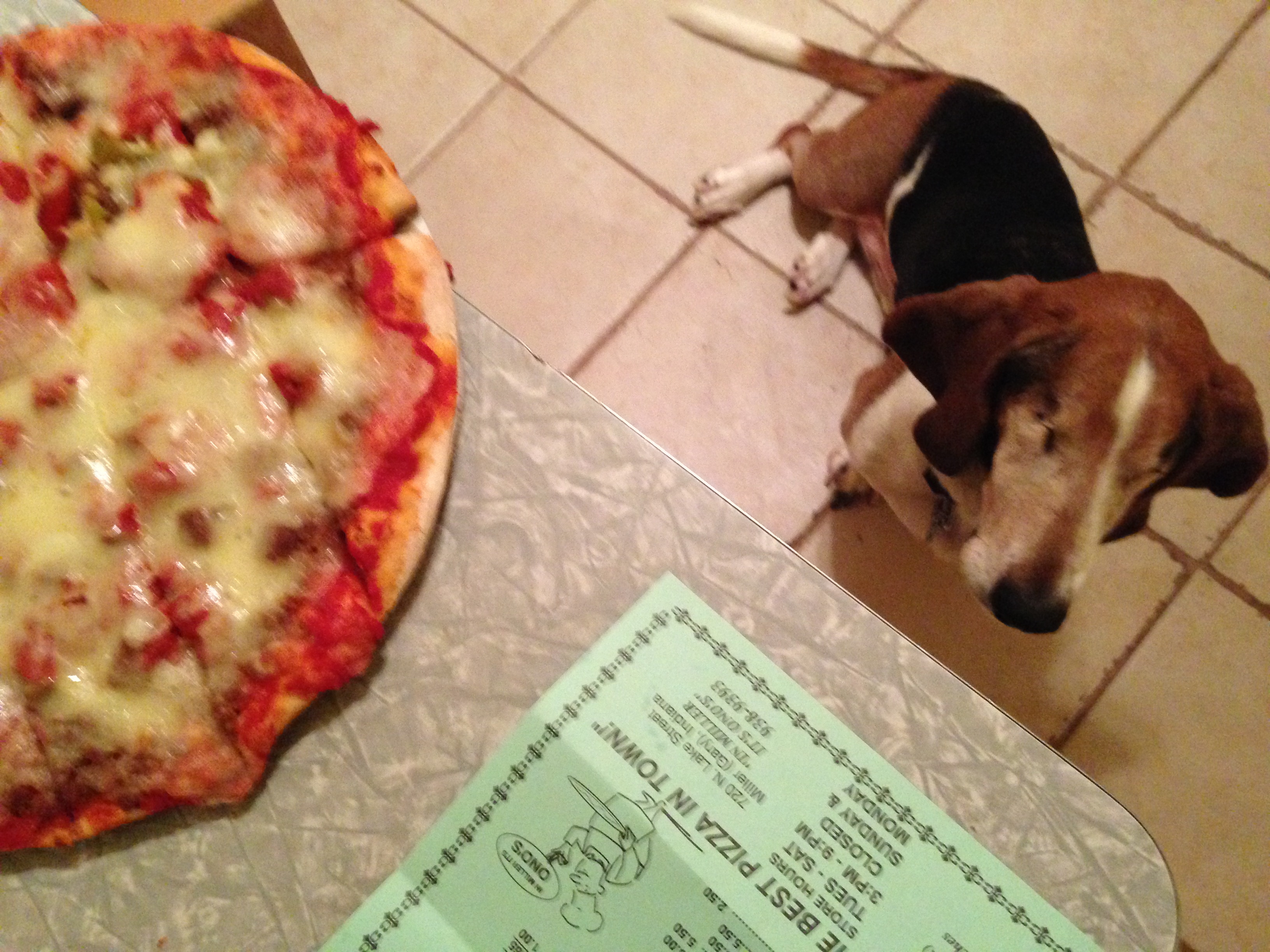 Ernie and a Pizza from Ono's - Miller Beach, Gary, Indiana