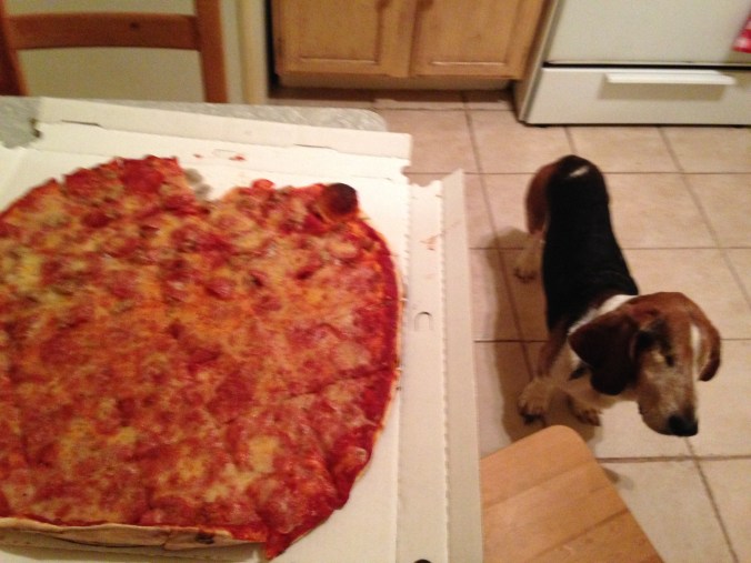 Pudgy's Pizza, Hegewisch - Chicago Pizza Hound