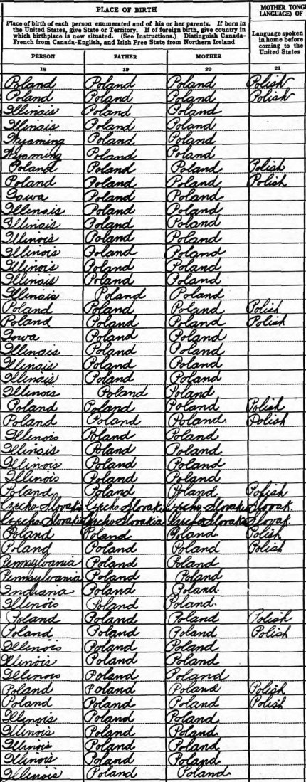 Polish Families in Hegewisch, 1930 Census