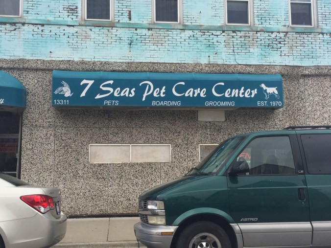 7 Seas Pet Care Center - Brandon Avenue