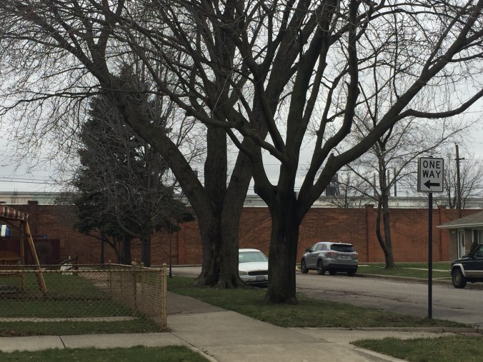 Pudgy's Pizza, Hegewisch - Chicago Pizza Hound