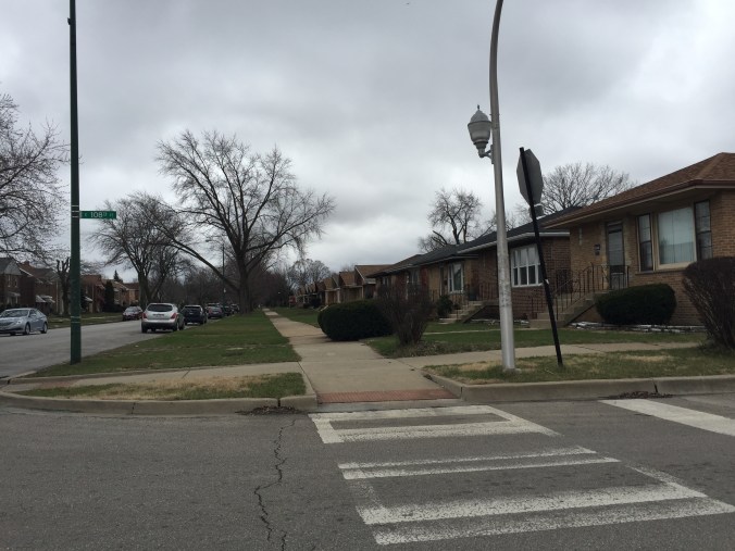 Homes on Avenue O, East Side, Chicago