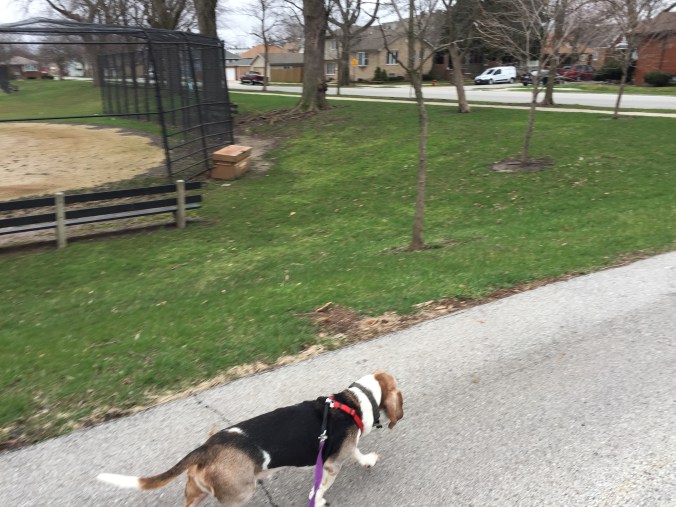 Ernie in Mann Park - Pudgy's Pizza, Hegewisch - Chicago Pizza Hound